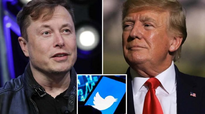 Trump Twitter account reappers after Musk poll